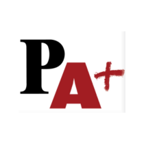 LOGO EL PUNT AVUI.